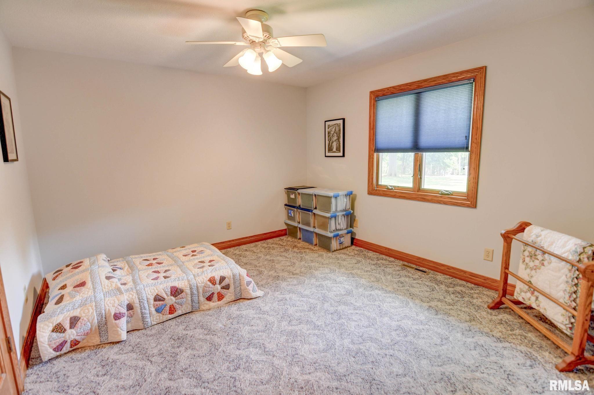 206 Central Avenue, Kincaid, Illinois image 17