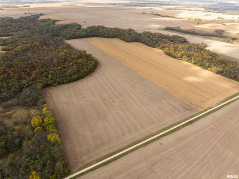 Vacant Land For Sale - 0000 W Knox Road<br/> Monmouth, IL 61462
