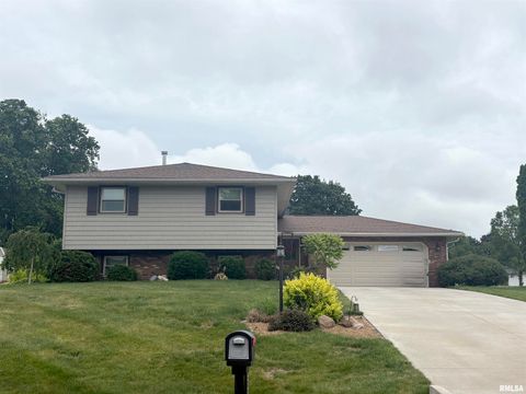 Homes For Sale - 317 Arbor Vitae Drive<br/> Germantown Hills, IL 61548