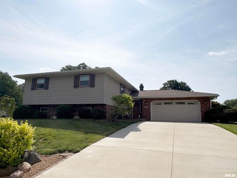 Homes For Sale - 317 Arbor Vitae Drive<br/> Germantown Hills, IL 61548