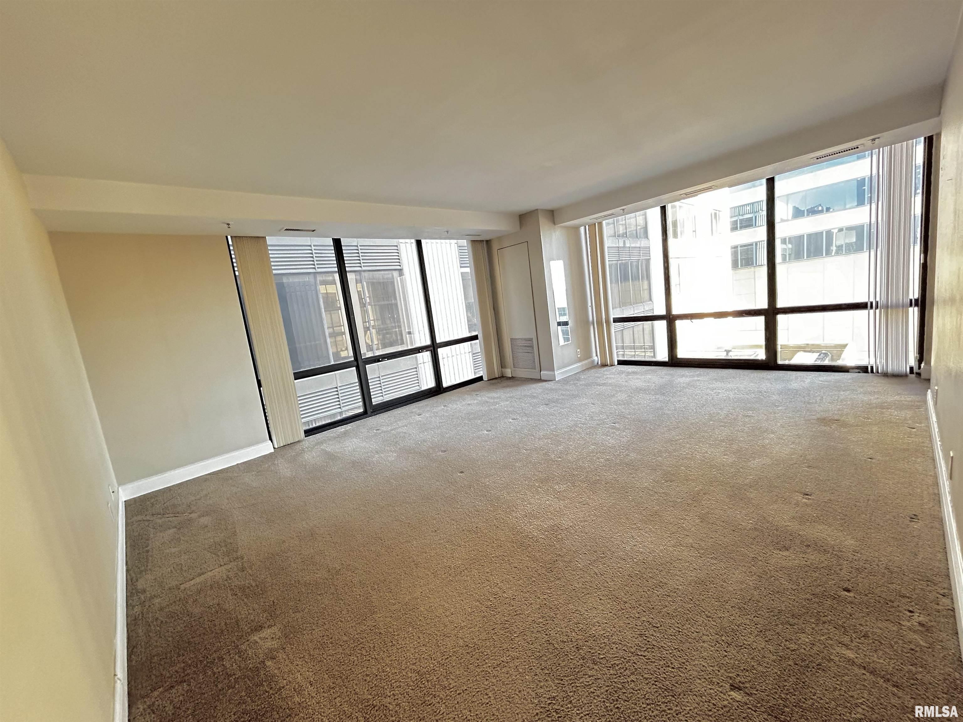 125 SW Jefferson Avenue #W3NE, Peoria, Illinois image 15