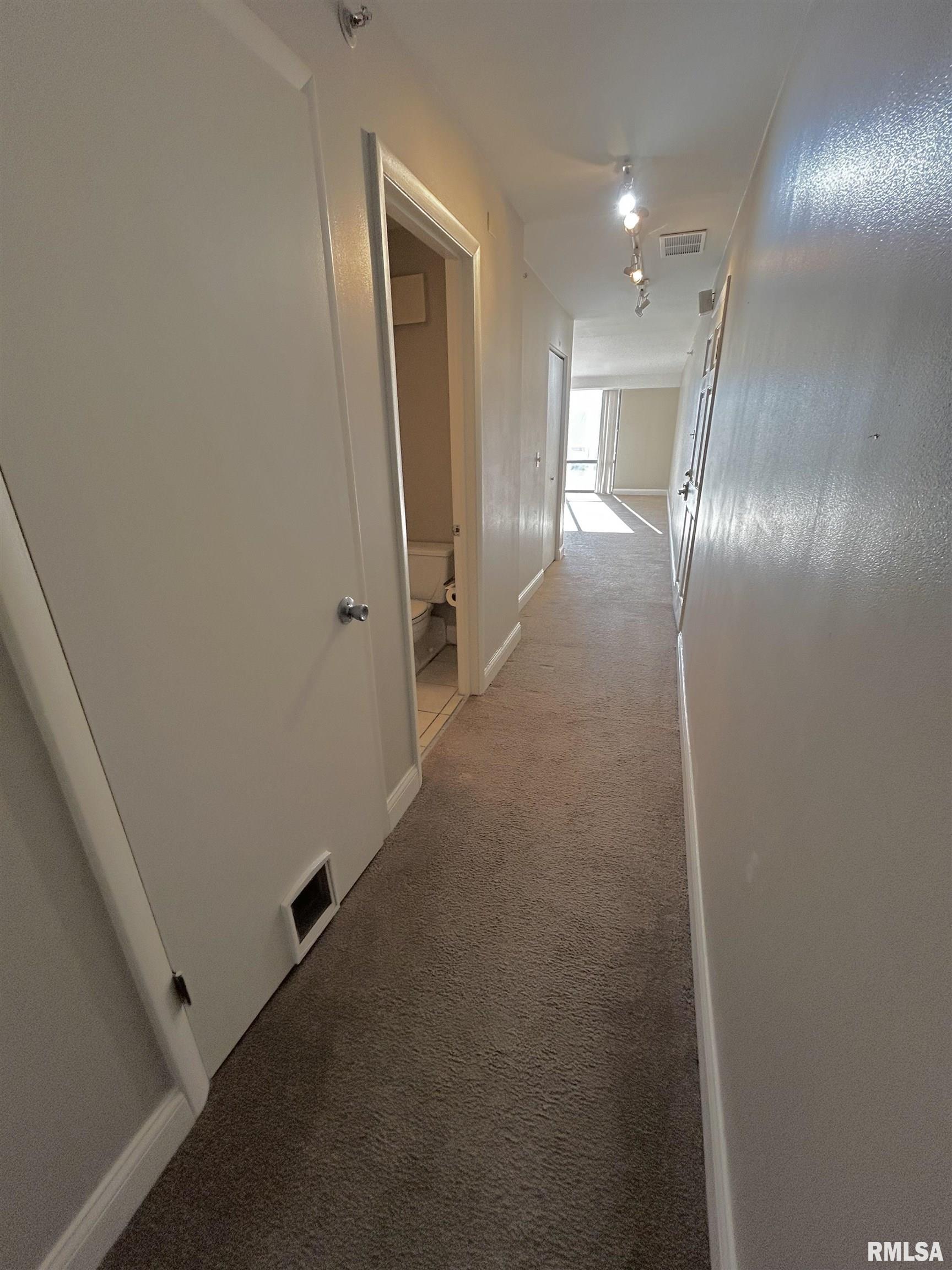 125 SW Jefferson Avenue #W3NE, Peoria, Illinois image 19