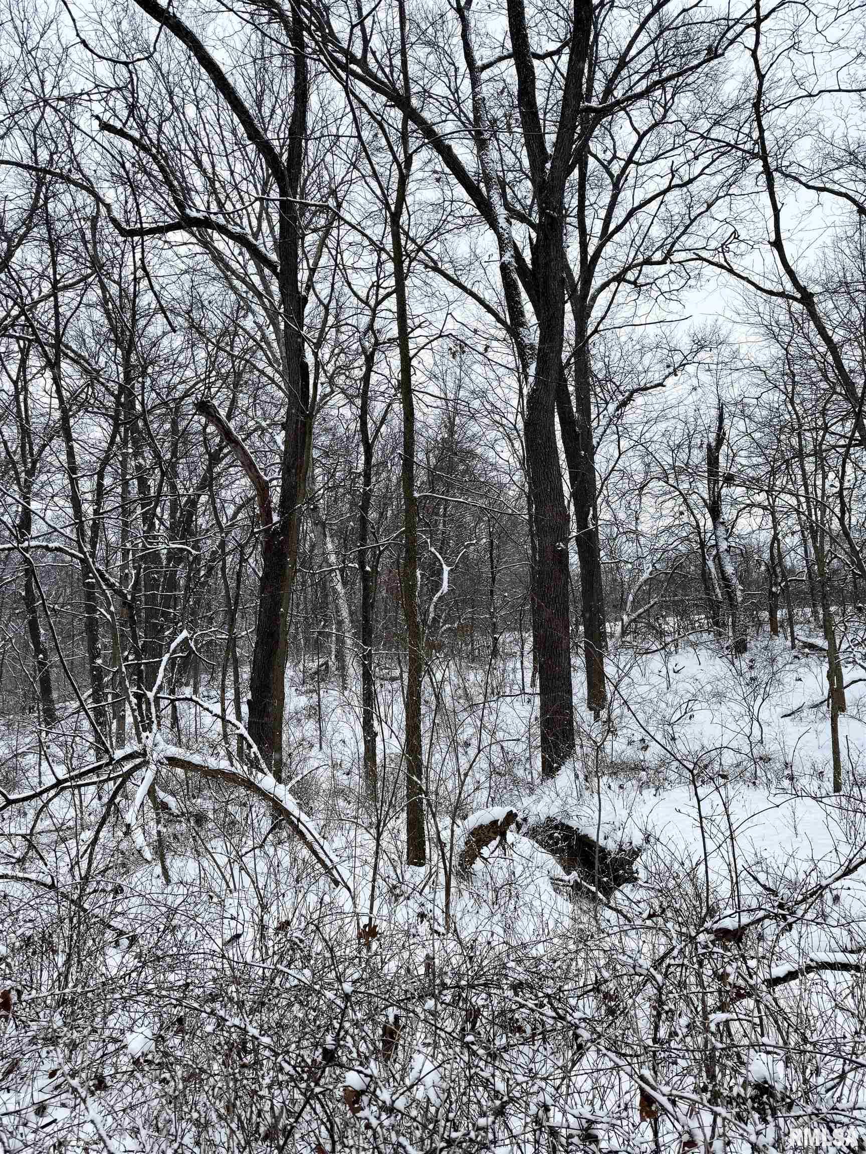 0000 Salisbury Cemetery Road, Pleasant Plains, Illinois image 45