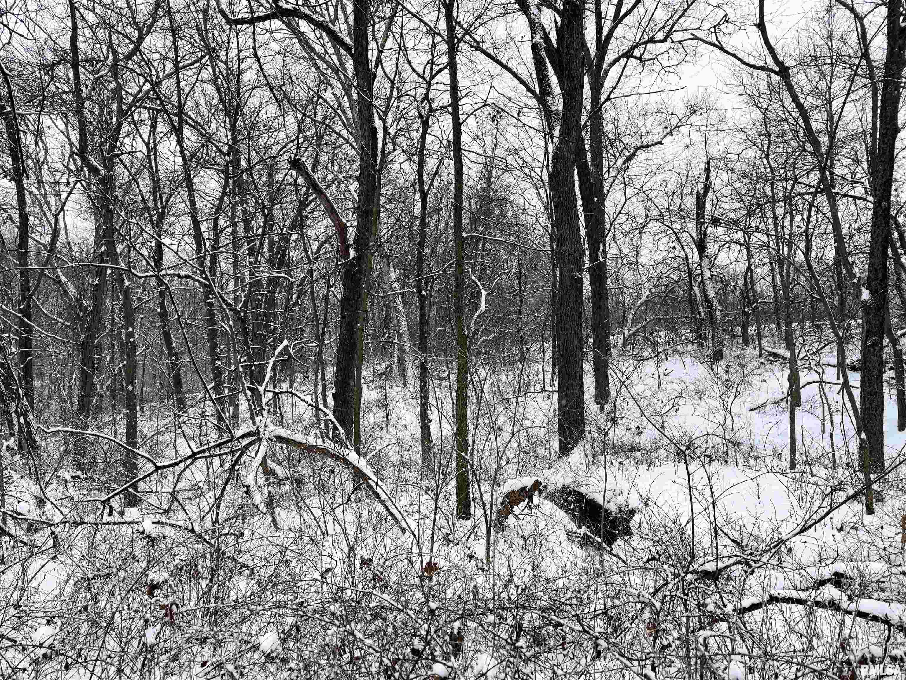 0000 Salisbury Cemetery Road, Pleasant Plains, Illinois image 46