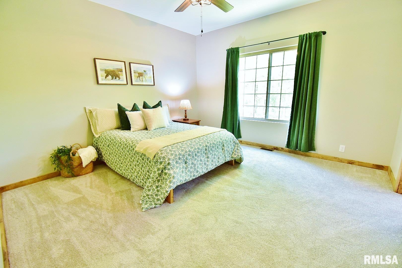 341 Sherwood Circle, Dahinda, Illinois image 24