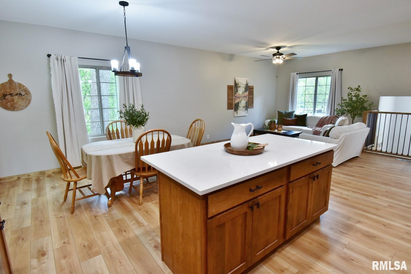 341 Sherwood Circle, Dahinda, Illinois image 13