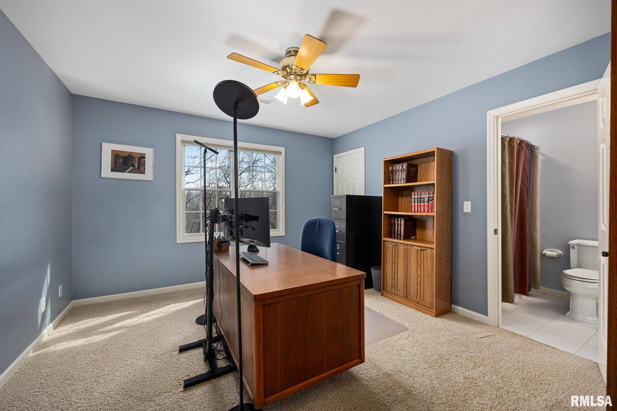 812 W Bridgetowne Court, Dunlap, Illinois image 41