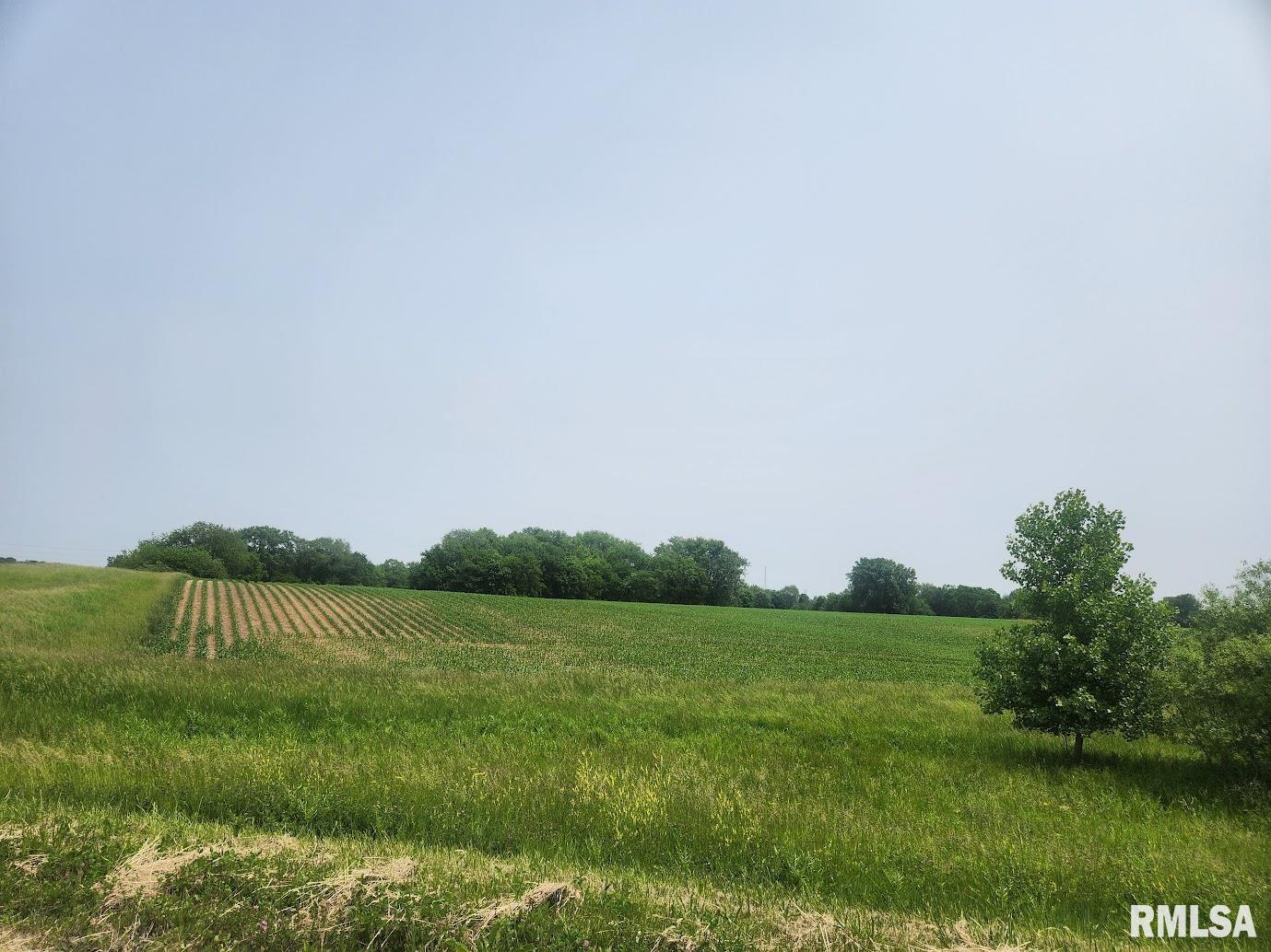 15624 N Mendenhall Road, Princeville, Illinois image 1