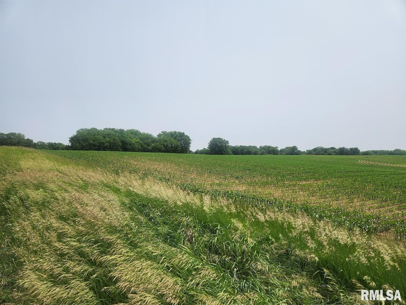 15624 N Mendenhall Road, Princeville, Illinois image 5