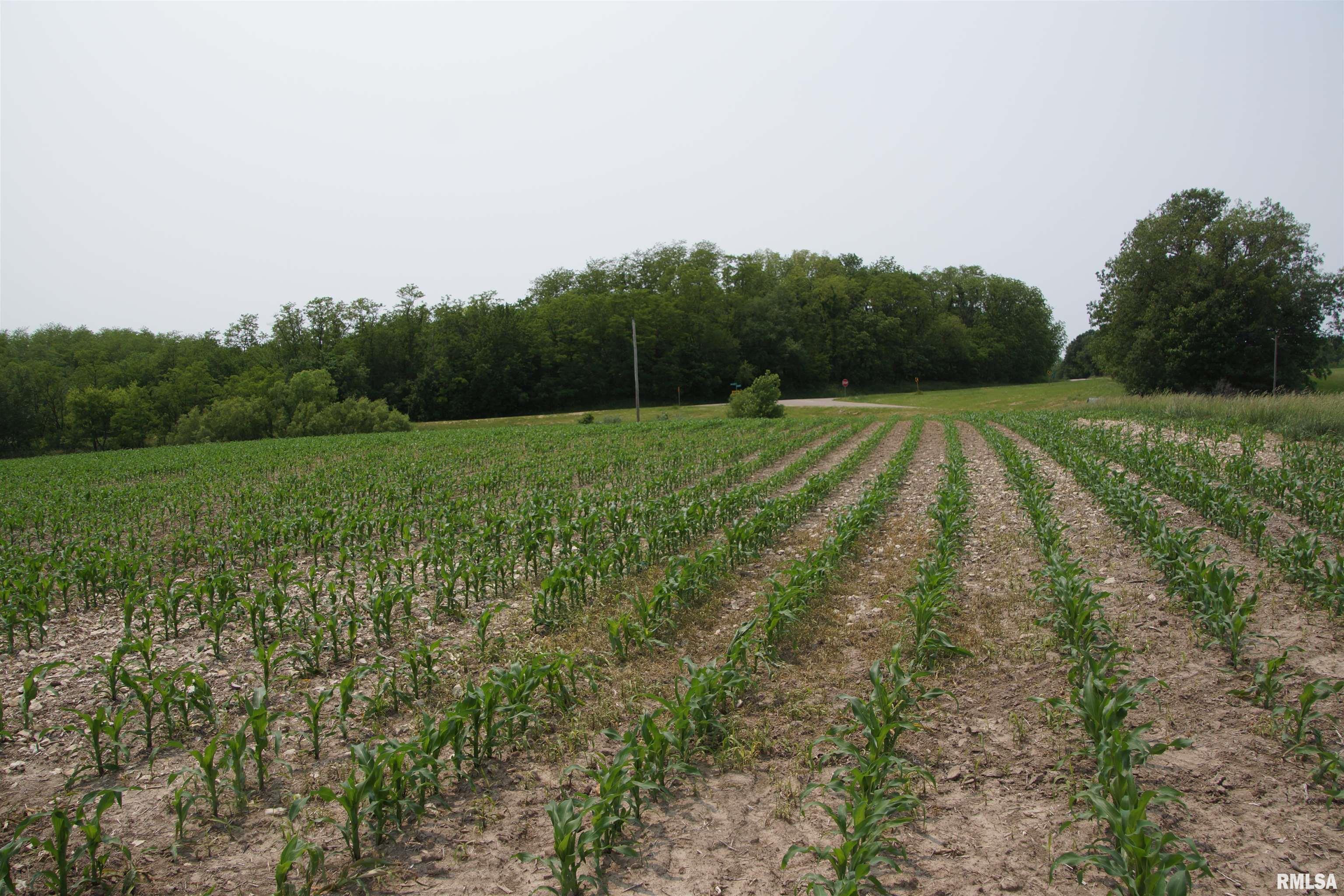 15624 N Mendenhall Road, Princeville, Illinois image 3