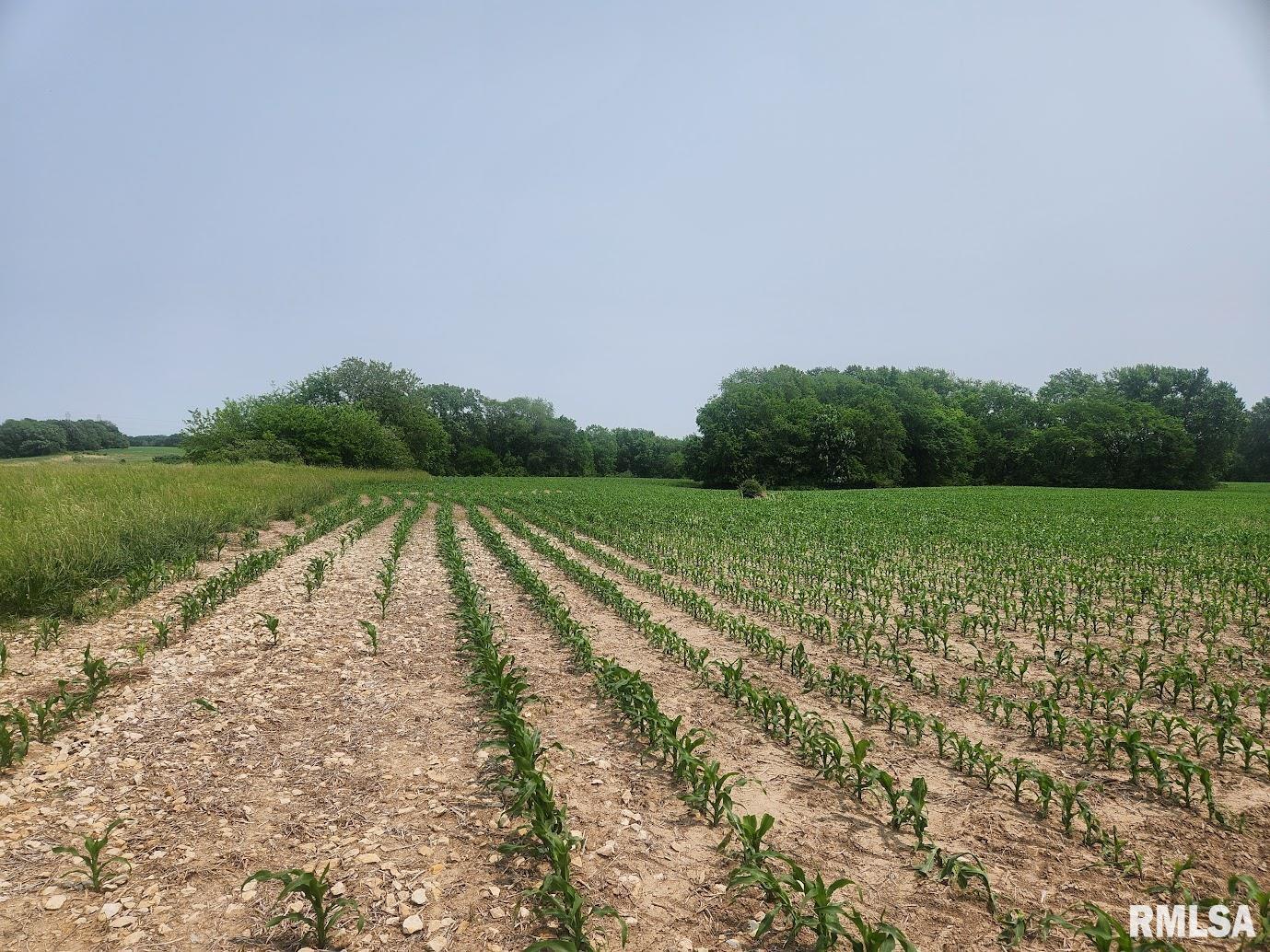 15624 N Mendenhall Road, Princeville, Illinois image 4