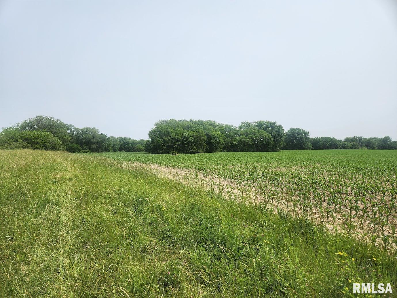 15624 N Mendenhall Road, Princeville, Illinois image 2