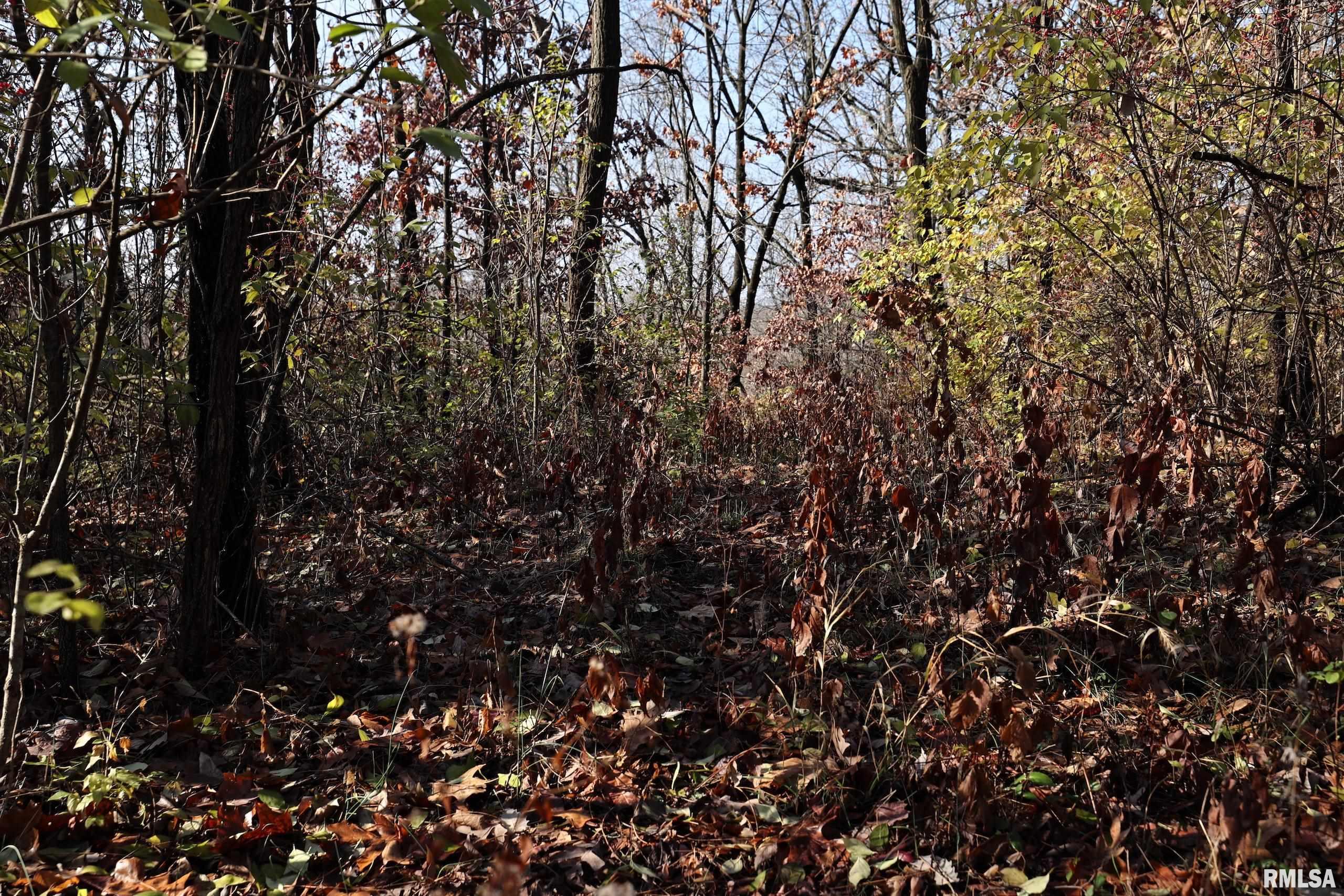 Bee Creek None Road, Pearl, Illinois image 31