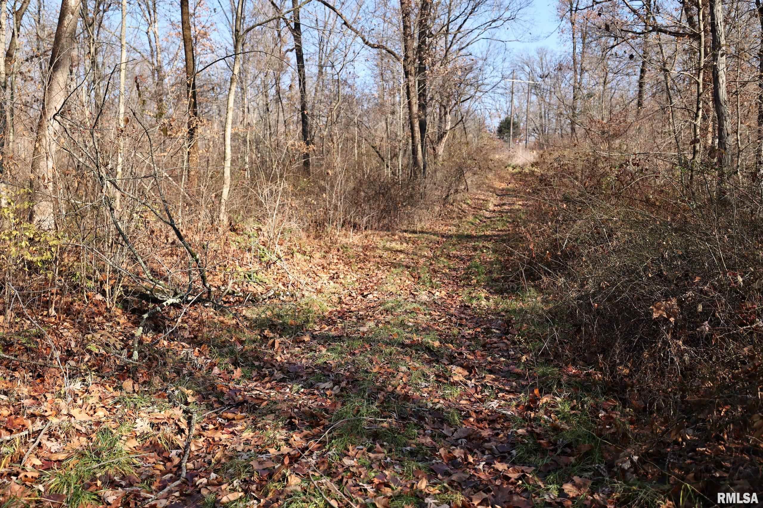 Bee Creek None Road, Pearl, Illinois image 15