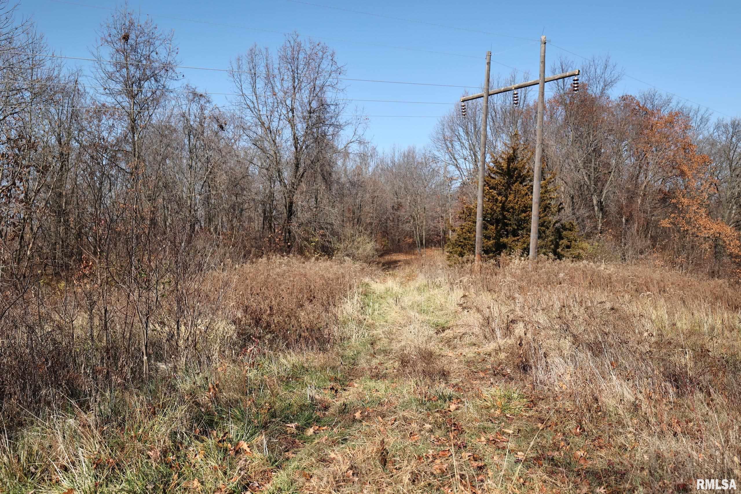 Bee Creek None Road, Pearl, Illinois image 18