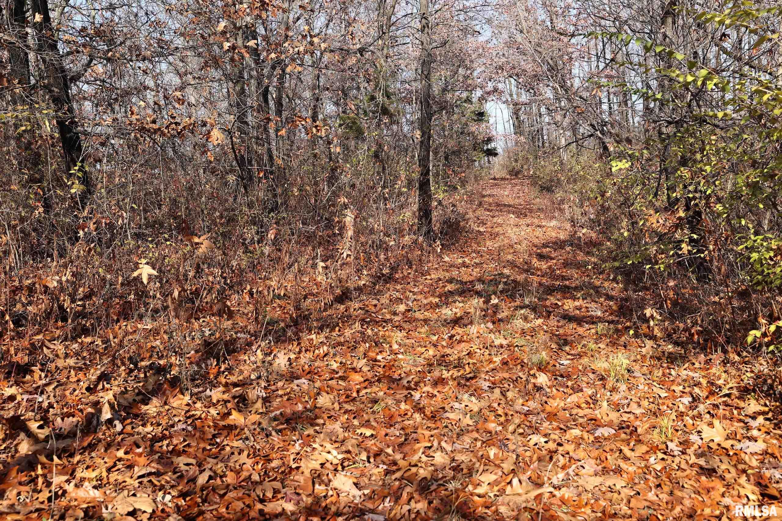 Bee Creek None Road, Pearl, Illinois image 34