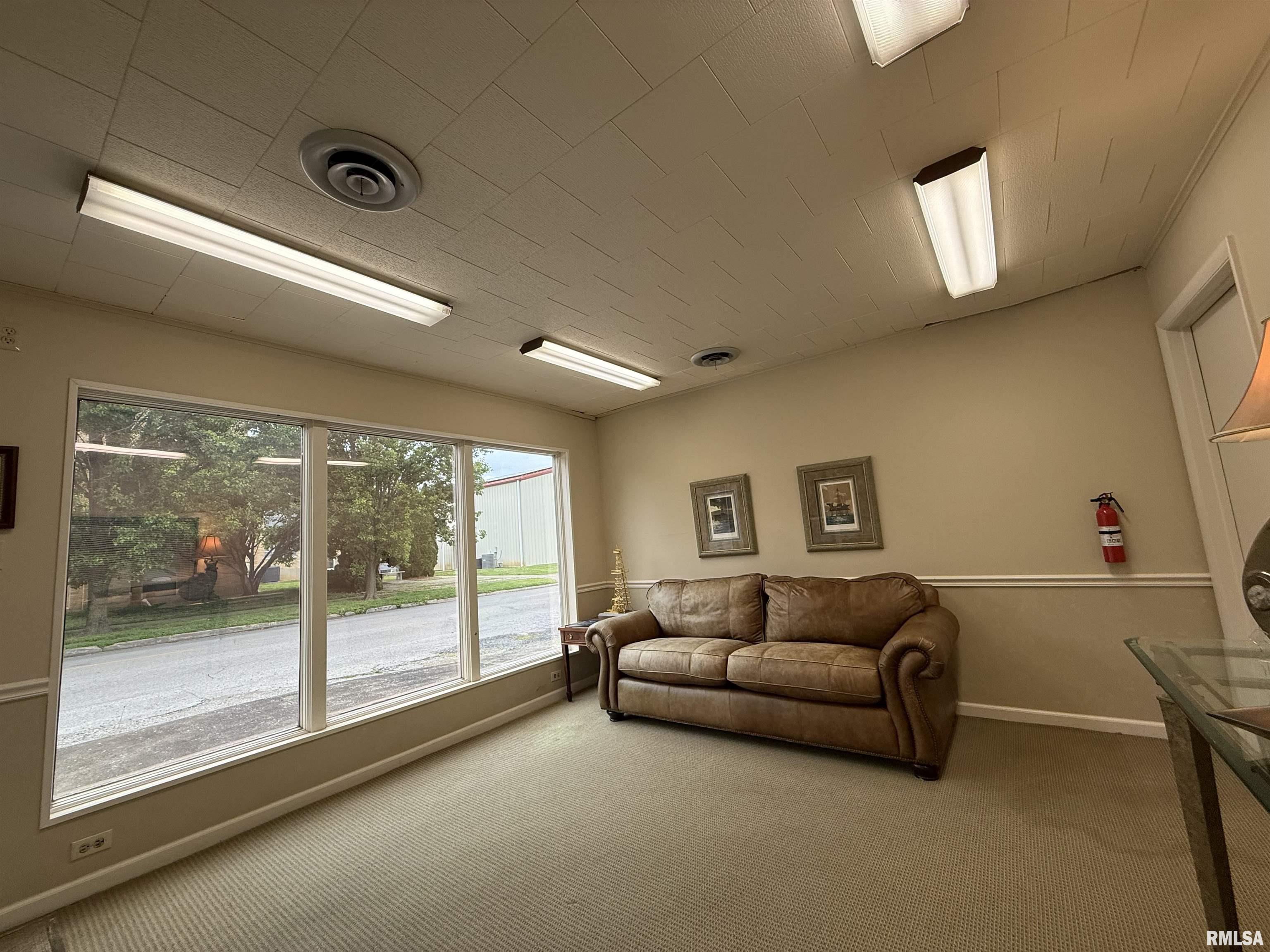 520 S Mckinley Street, Harrisburg, Illinois image 4