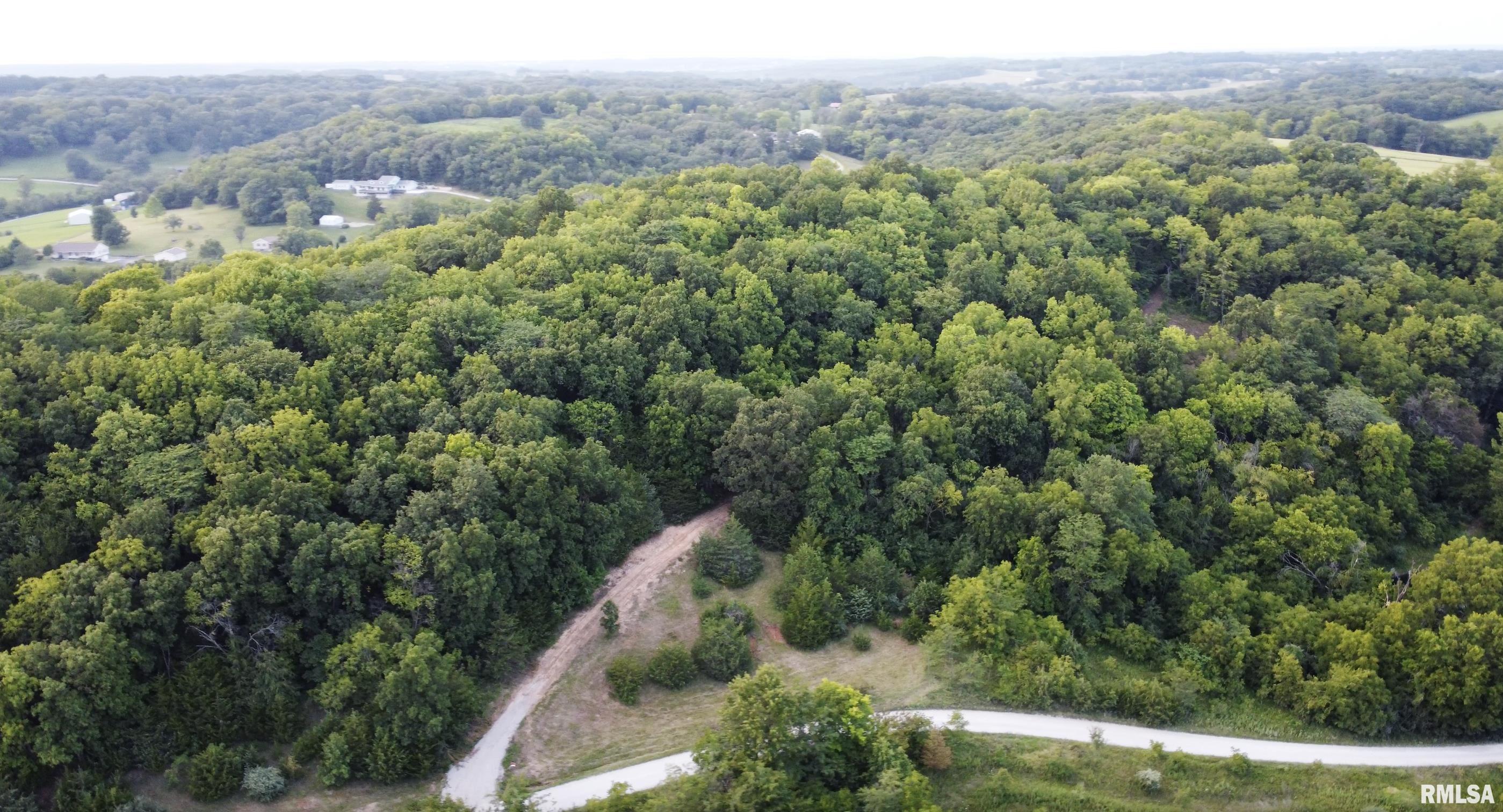 Walnut Ridge Place, New London, Missouri image 6