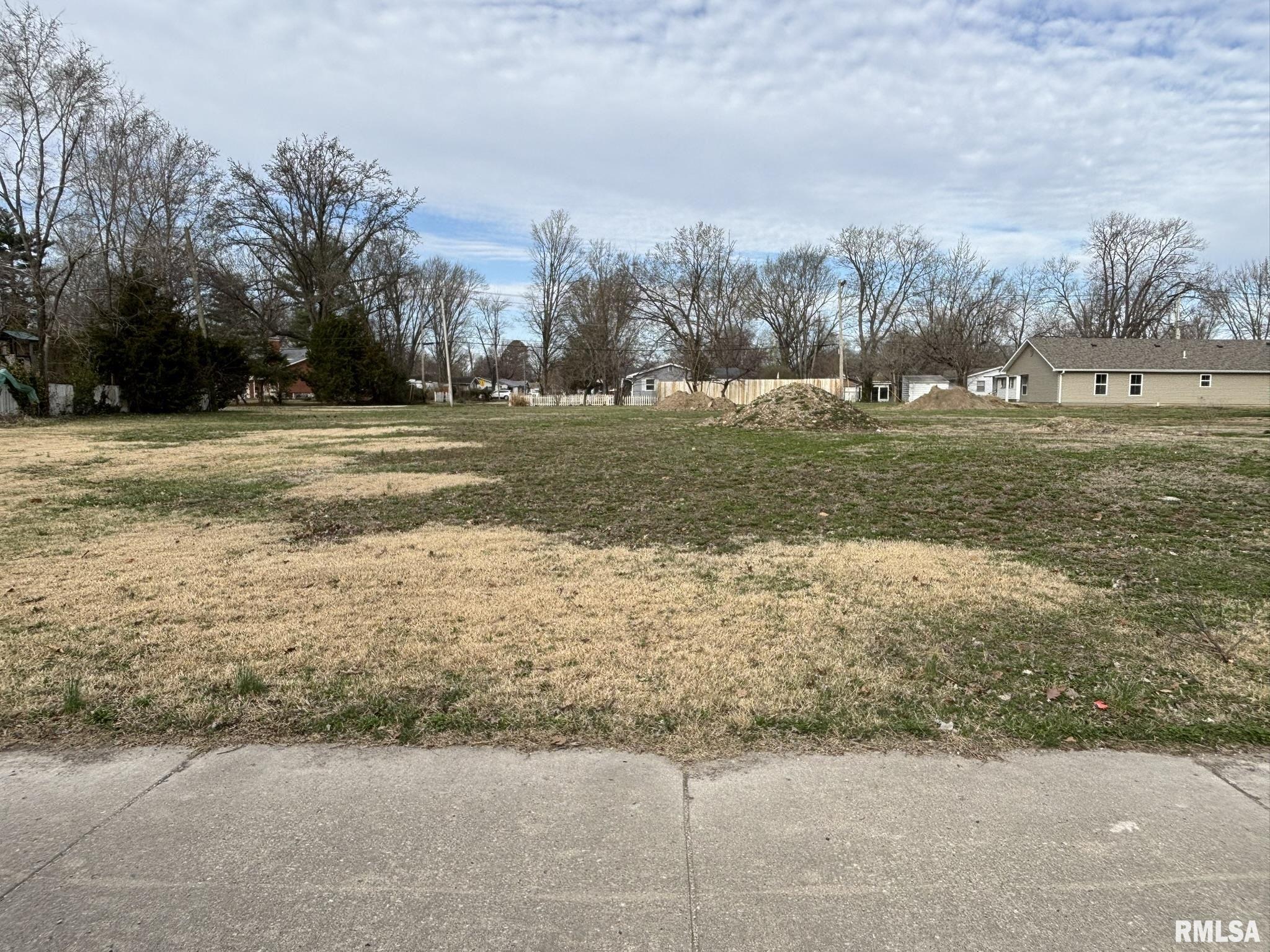 Lot 4B N College Avenue, Salem, Illinois image 1
