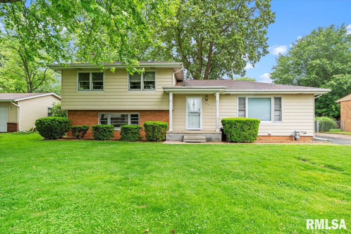 525 Sattley Street, Rochester, Illinois image 1