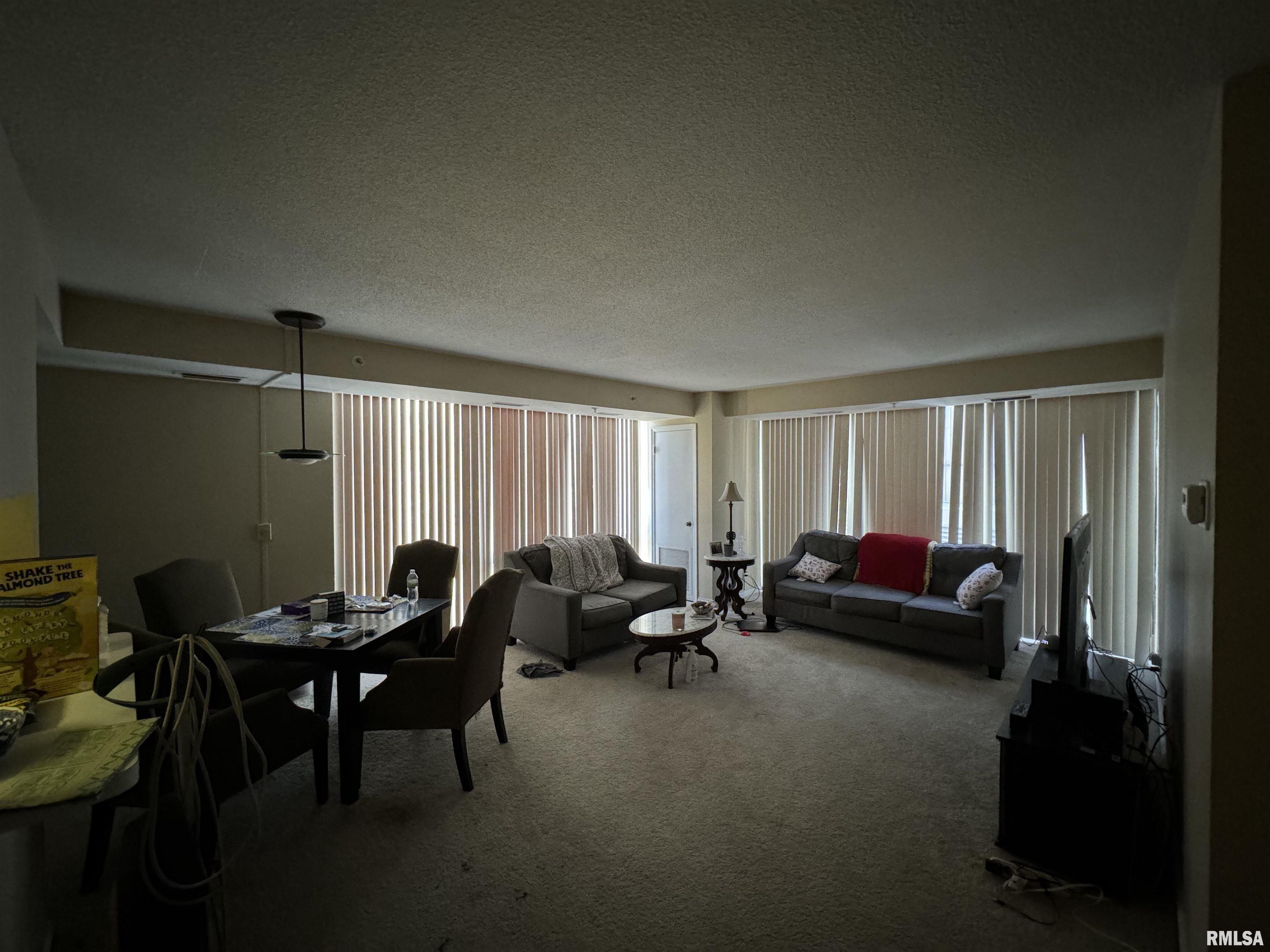 125 SW Jefferson Avenue #W4W, Peoria, Illinois image 15