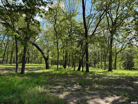 Vacant Land For Sale - 805 Edwards Street<br/> Henderson County, Oquawka, IL 61469
