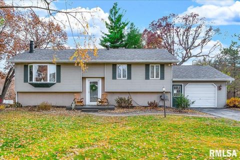 Homes For Sale - 10520 W Sir Durham Court<br/> Mapleton, IL 61547