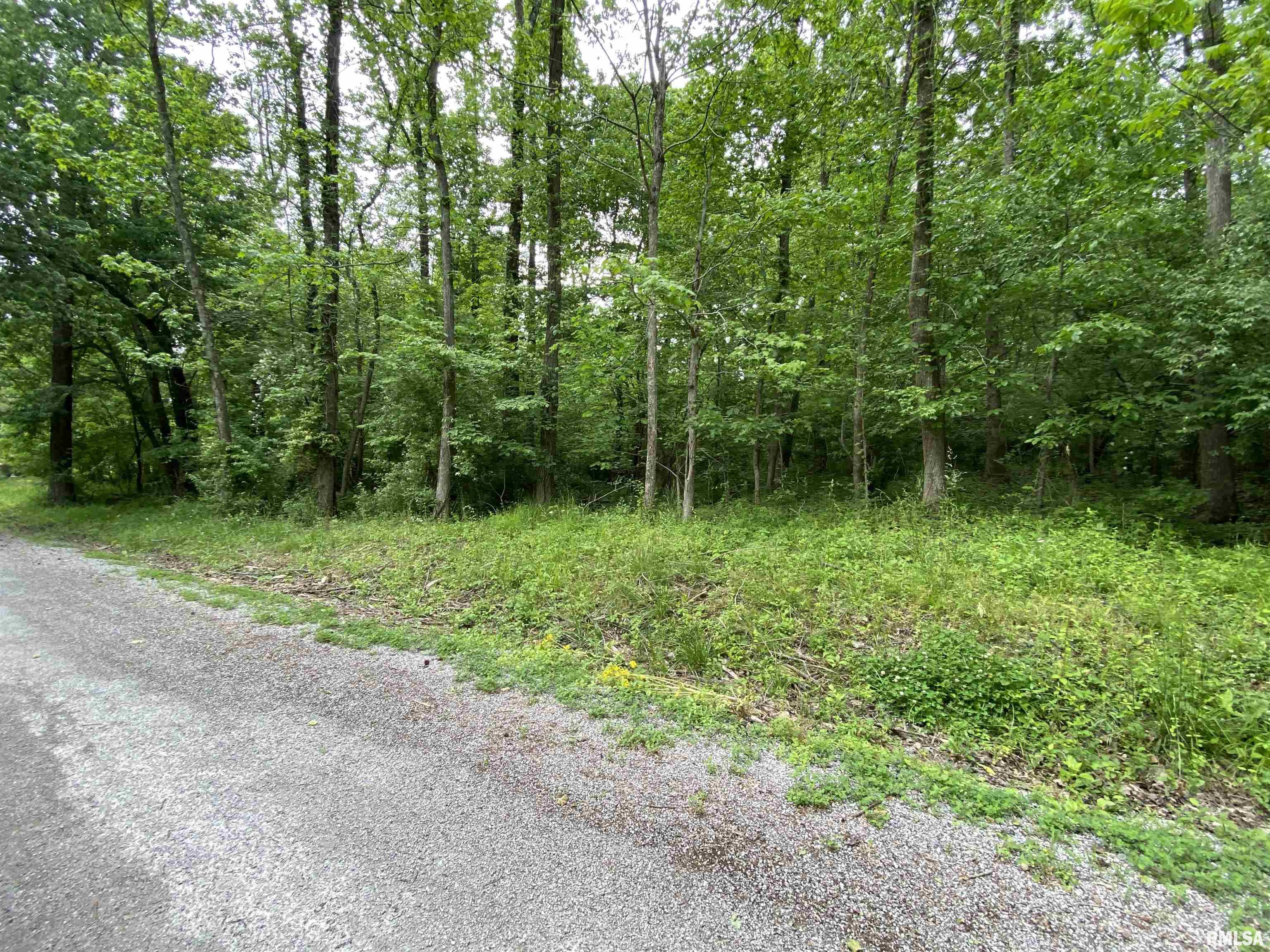 Lot 4 Choctaw Drive, Carbondale, Illinois image 7