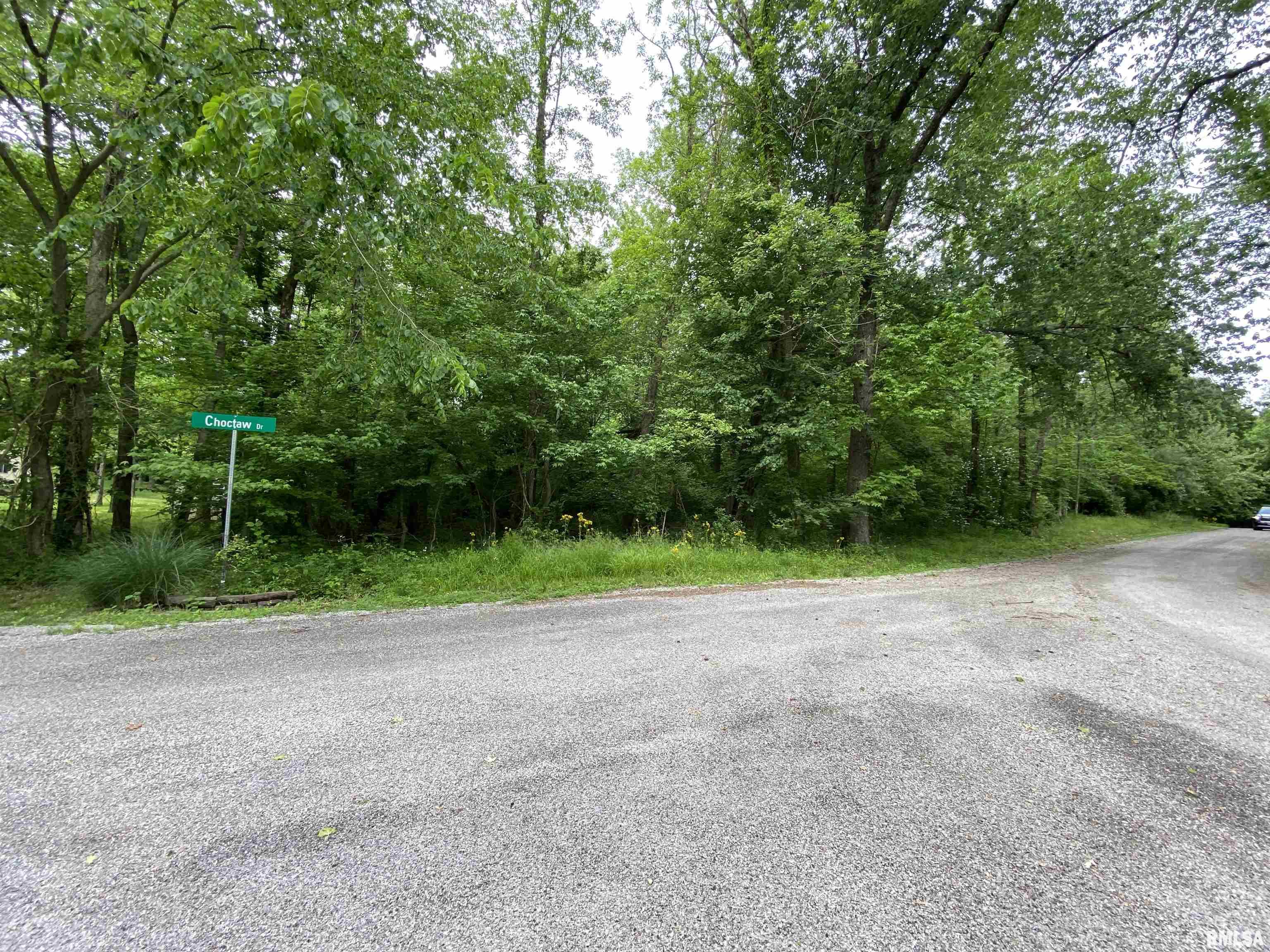 Lot 4 Choctaw Drive, Carbondale, Illinois image 9