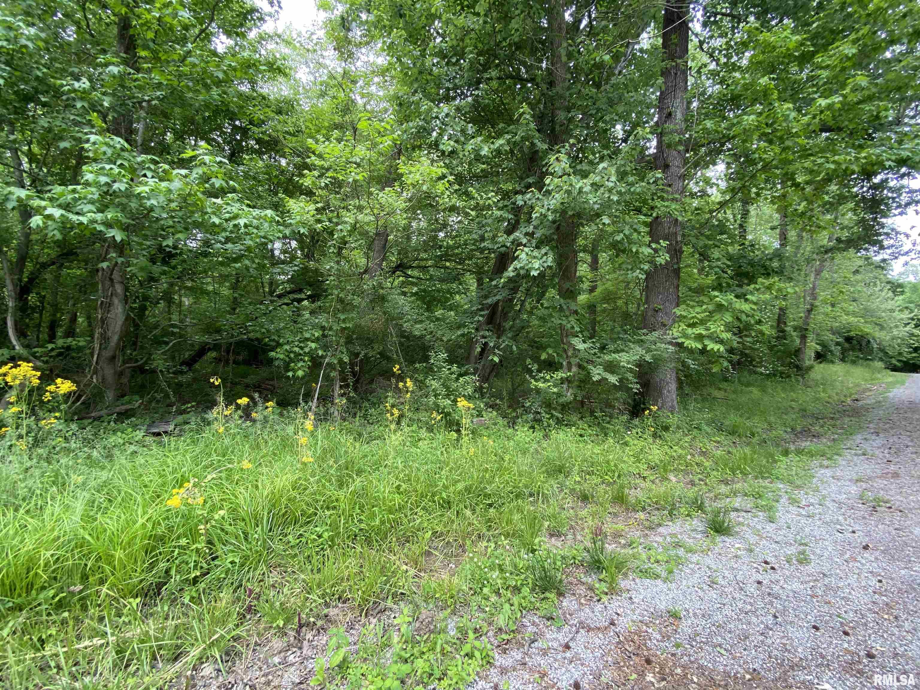 Lot 4 Choctaw Drive, Carbondale, Illinois image 8