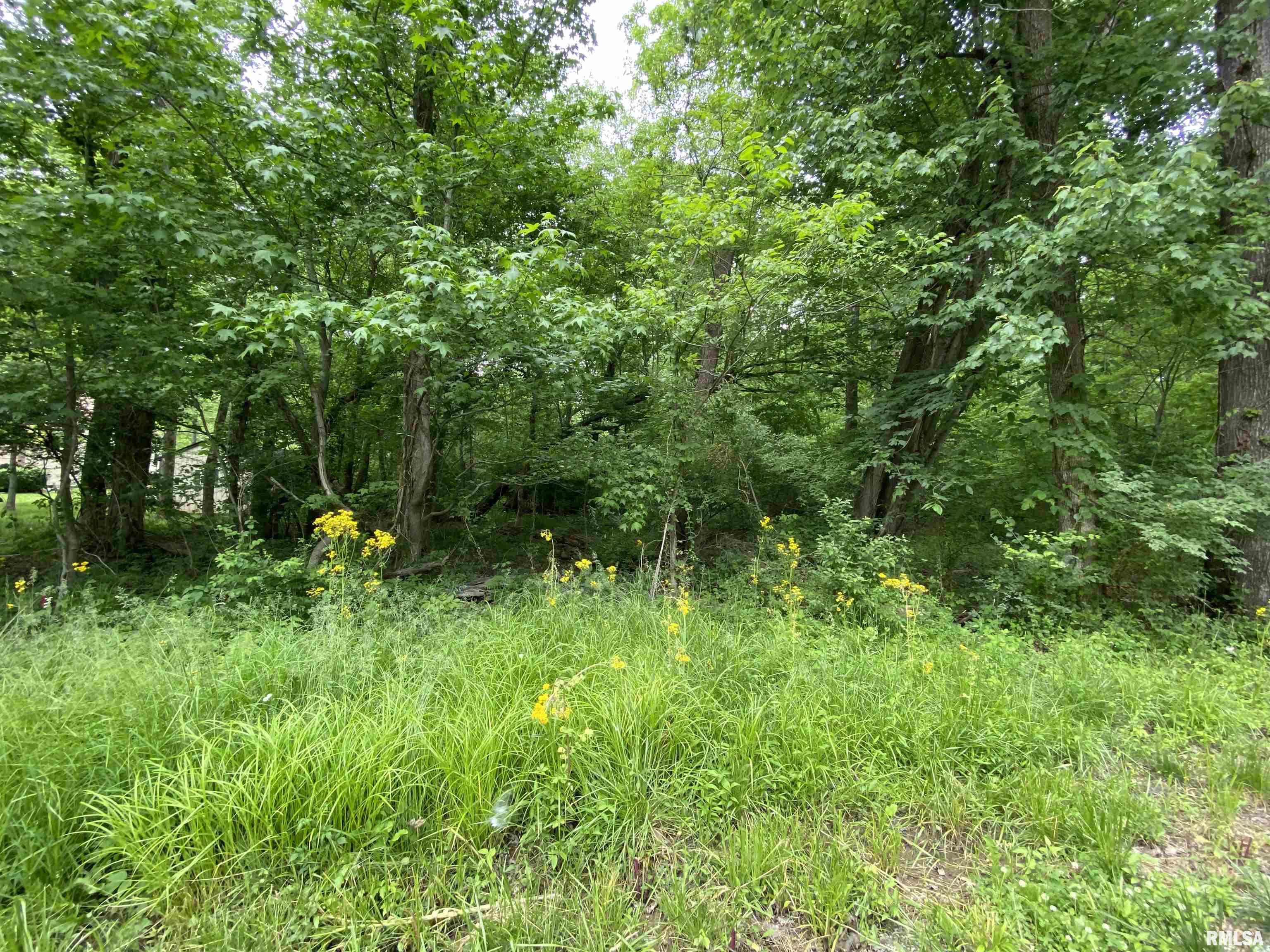 Lot 4 Choctaw Drive, Carbondale, Illinois image 6