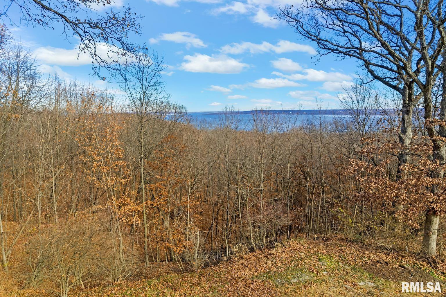 N Skyline Drive, Peoria, Illinois image 7