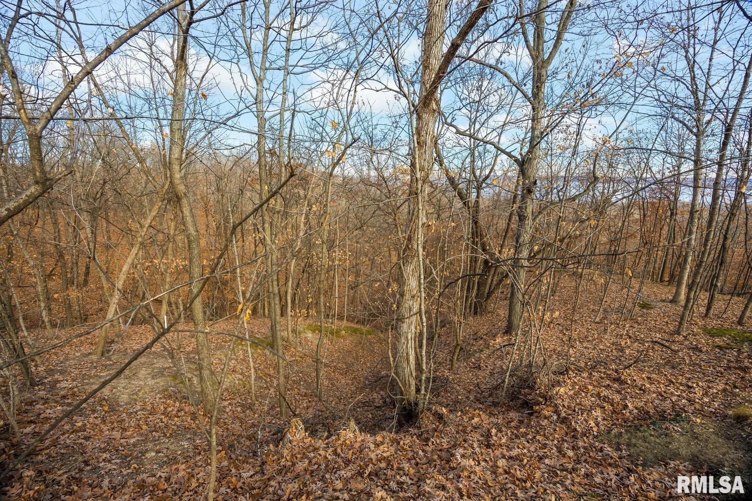 N Skyline Drive, Peoria, Illinois image 12