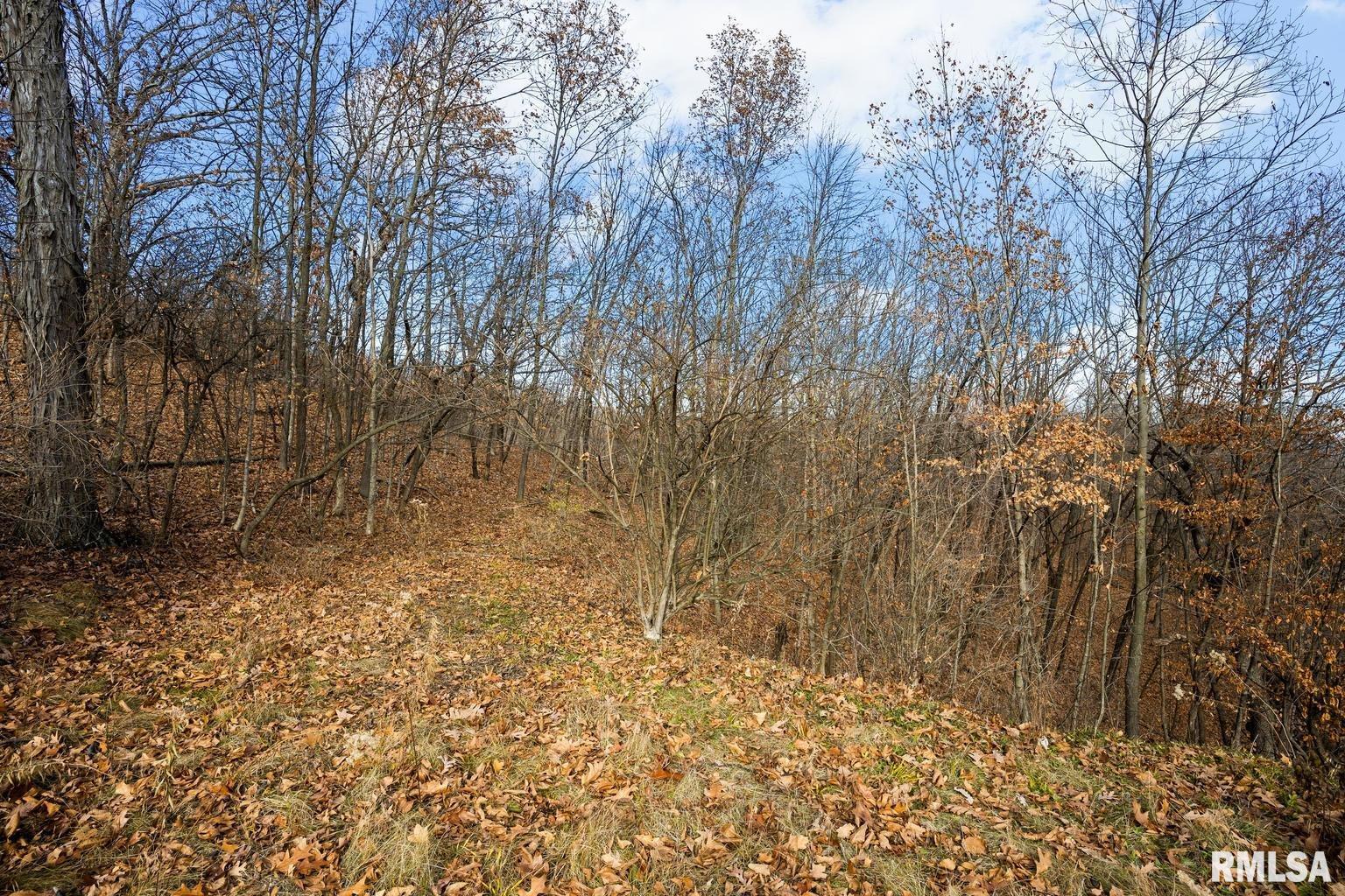 N Skyline Drive, Peoria, Illinois image 11