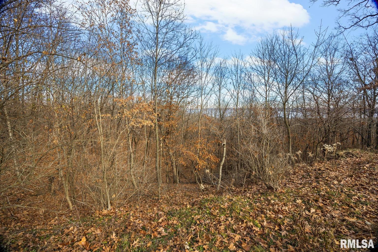 N Skyline Drive, Peoria, Illinois image 13