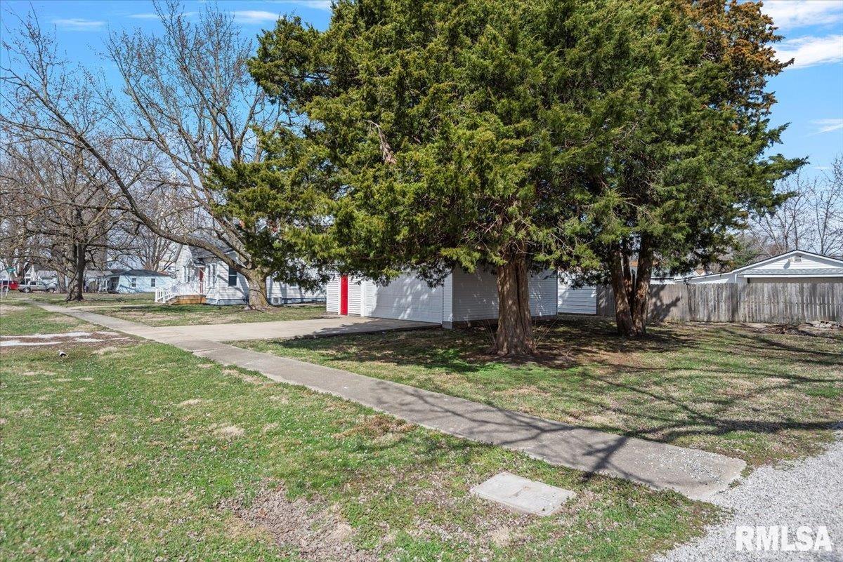204 N Emmett Street, Virden, Illinois image 40