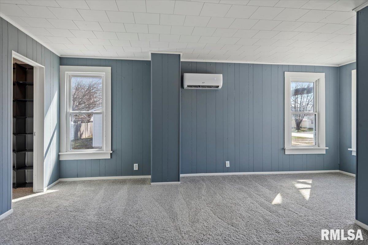 204 N Emmett Street, Virden, Illinois image 14