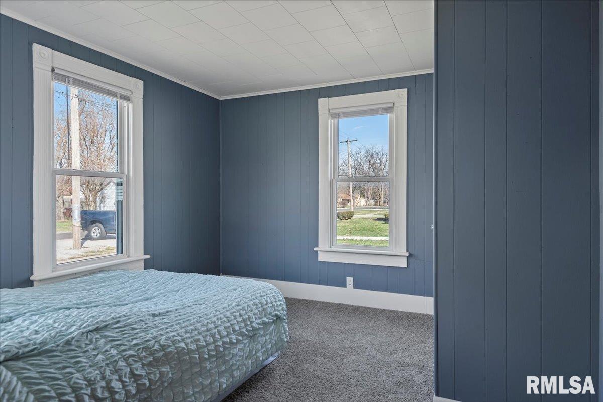 204 N Emmett Street, Virden, Illinois image 22