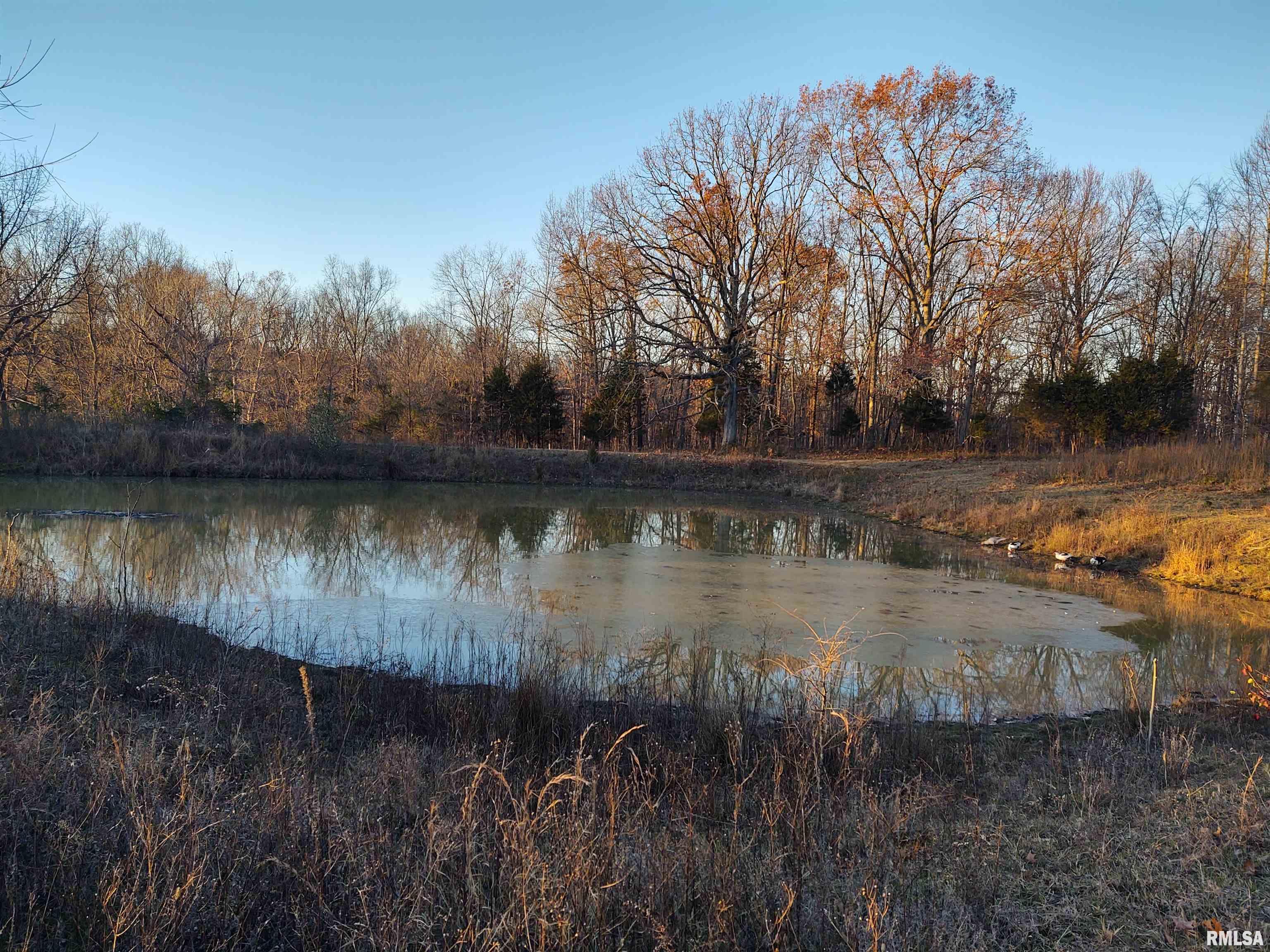 2335 Parker City Road, Creal Springs, Illinois image 6