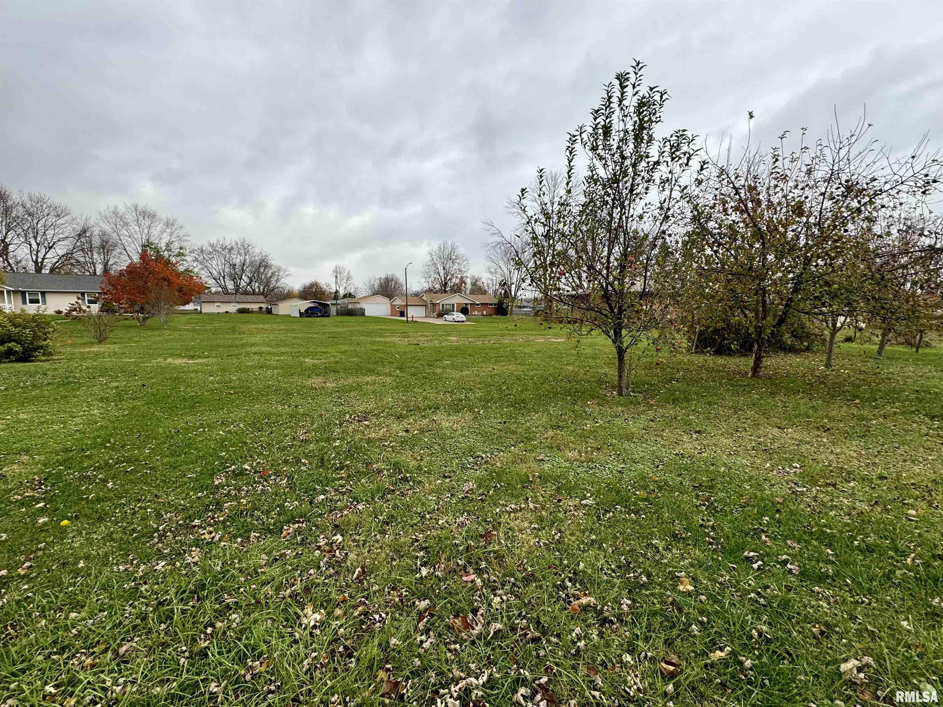 Lot 818284 W 5th Street, Andalusia, Illinois image 2