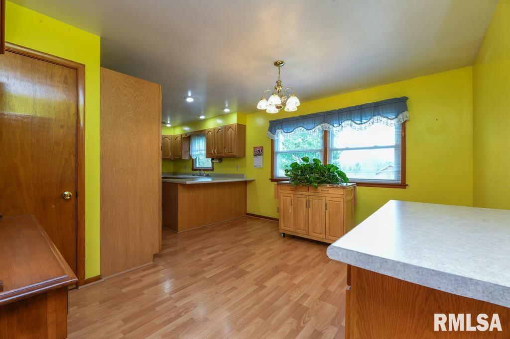118 Pieper Circle, Delavan, Illinois image 11