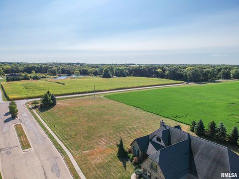 Vacant Land For Sale - LOT 46 Wolf Crossing Drive<br/> Tazewell County, Morton, IL 61550