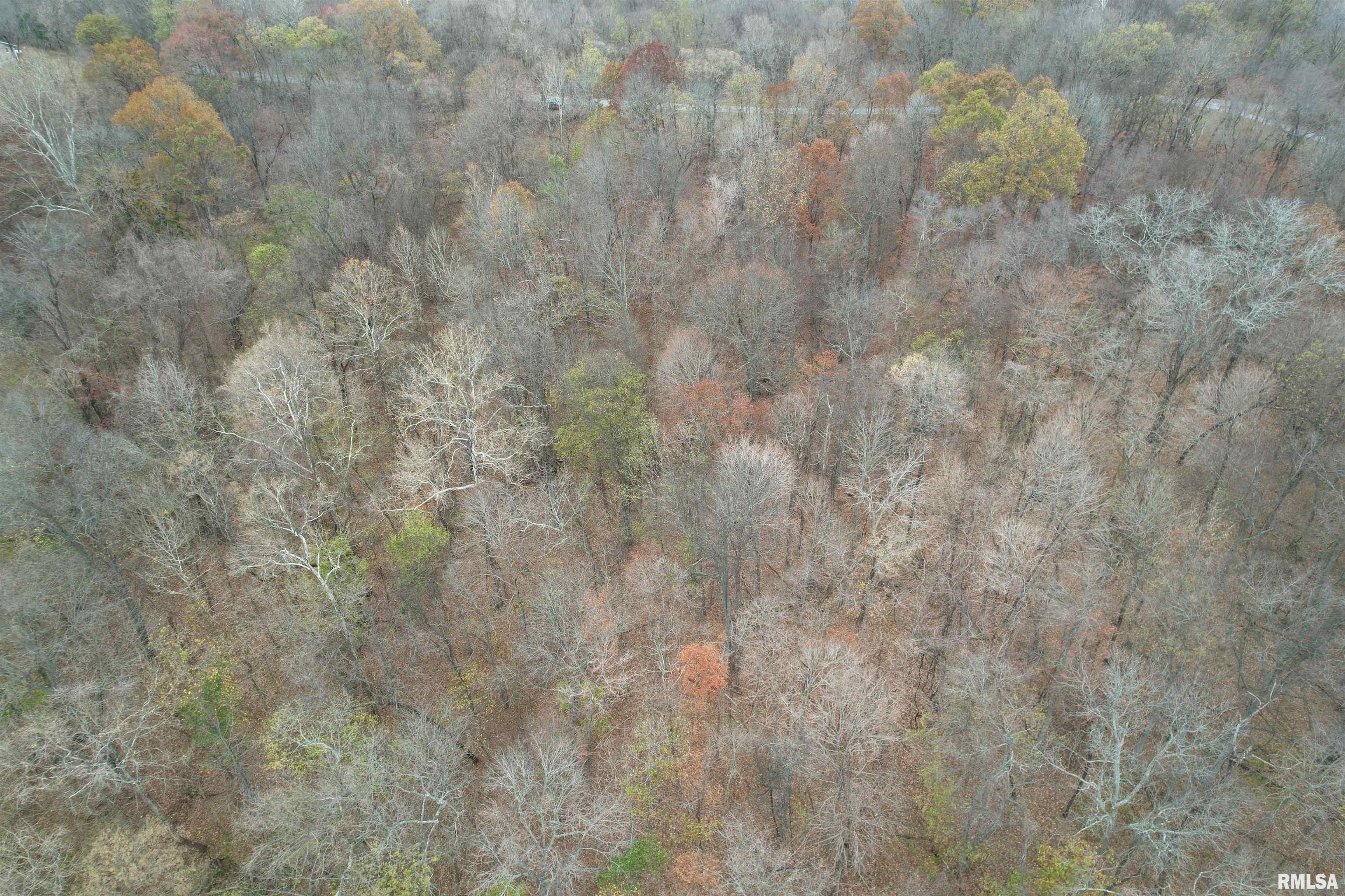 000 Tower Rock Road, Cave In Rock, Illinois image 5