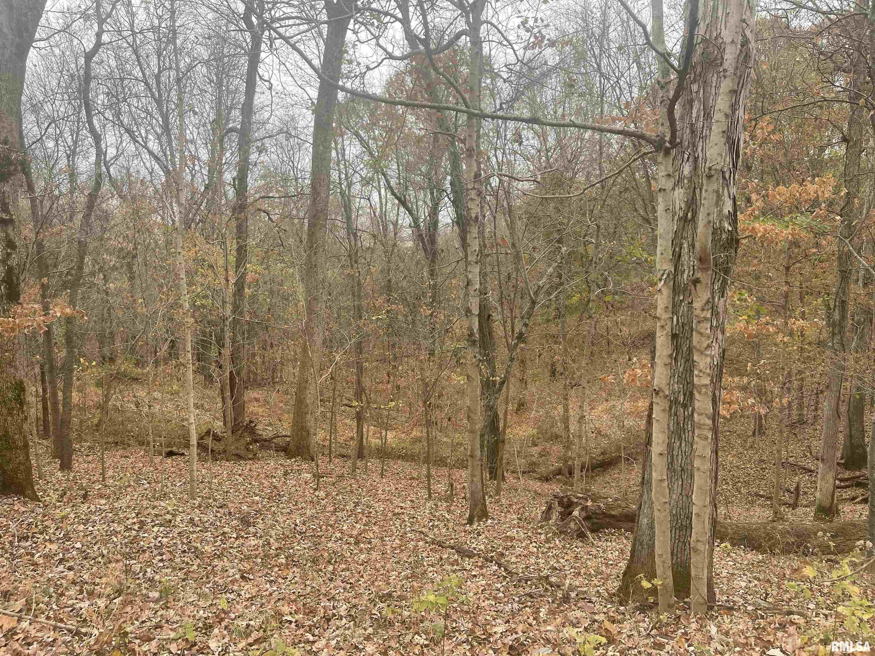 000 Tower Rock Road, Cave In Rock, Illinois image 10