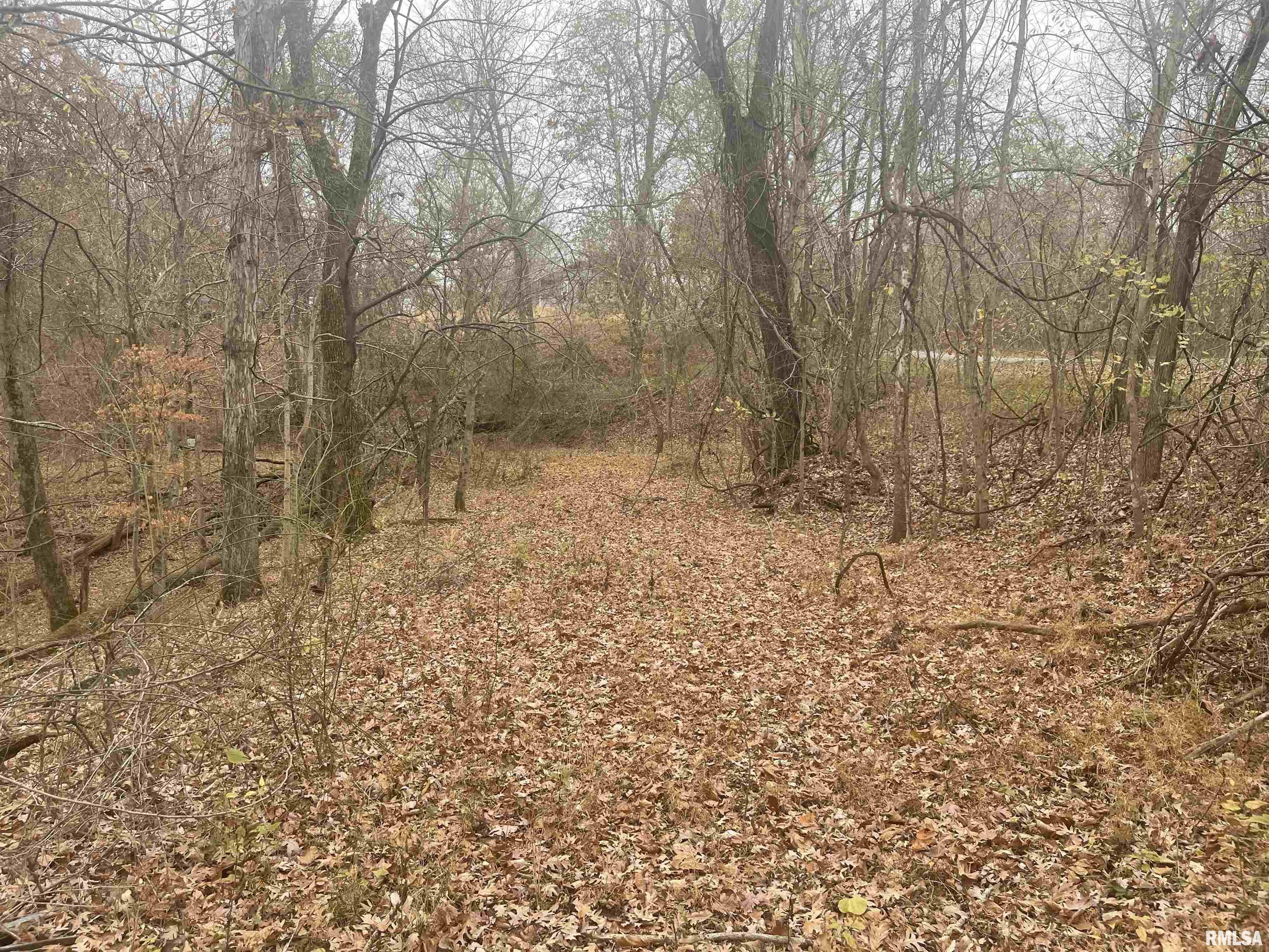 000 Tower Rock Road, Cave In Rock, Illinois image 11