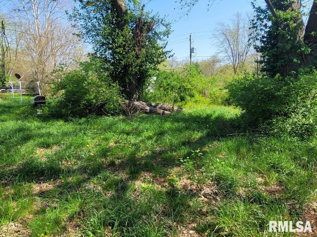 425 W Washington Street, Dix, Illinois image 8