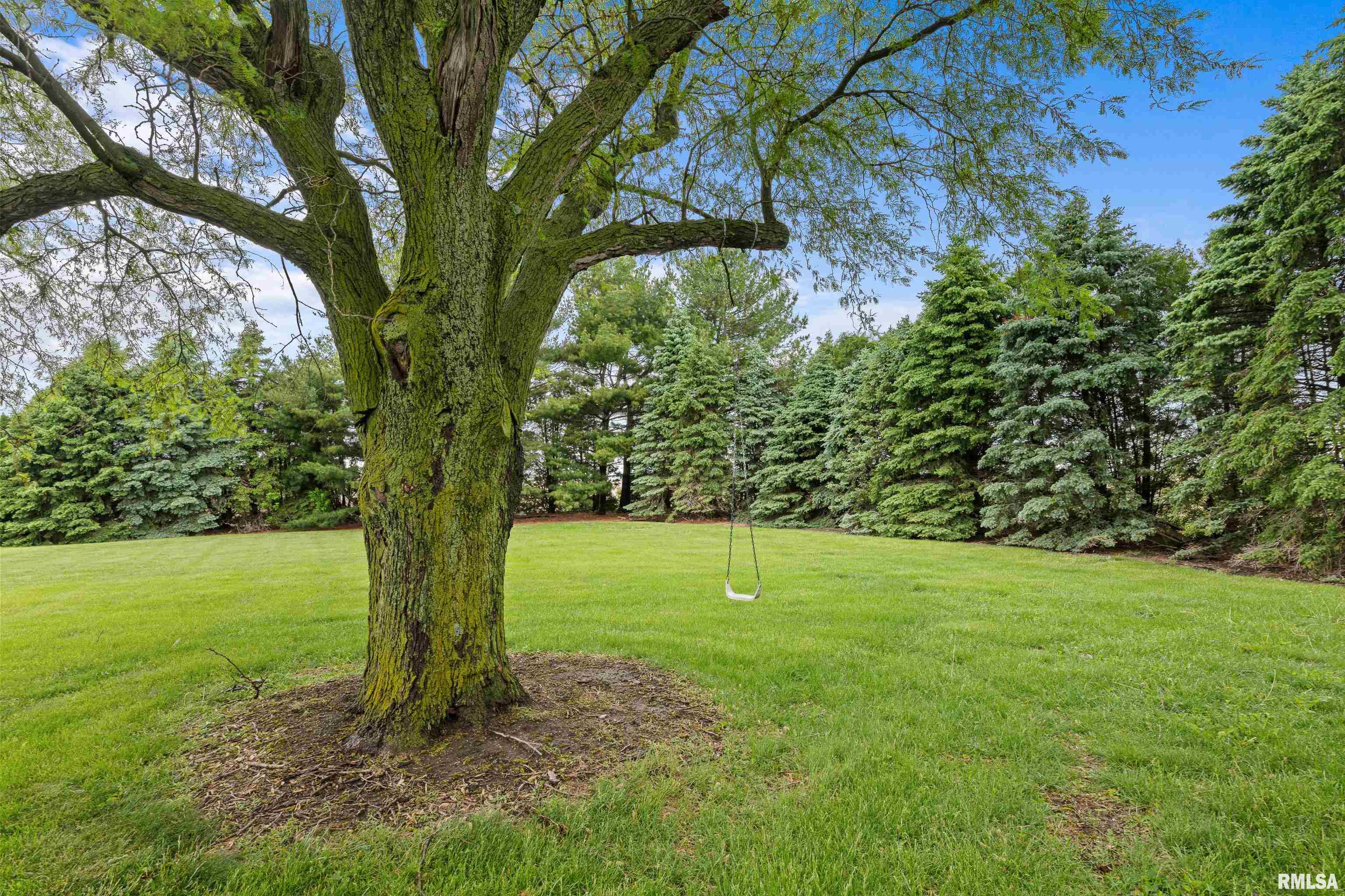 13111 134th Avenue, Taylor Ridge, Illinois image 39