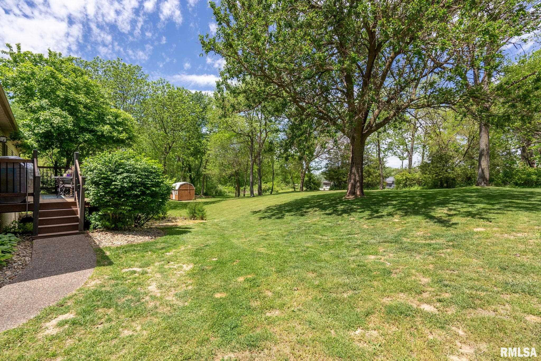 115 Woodland Drive, Andalusia, Illinois image 32
