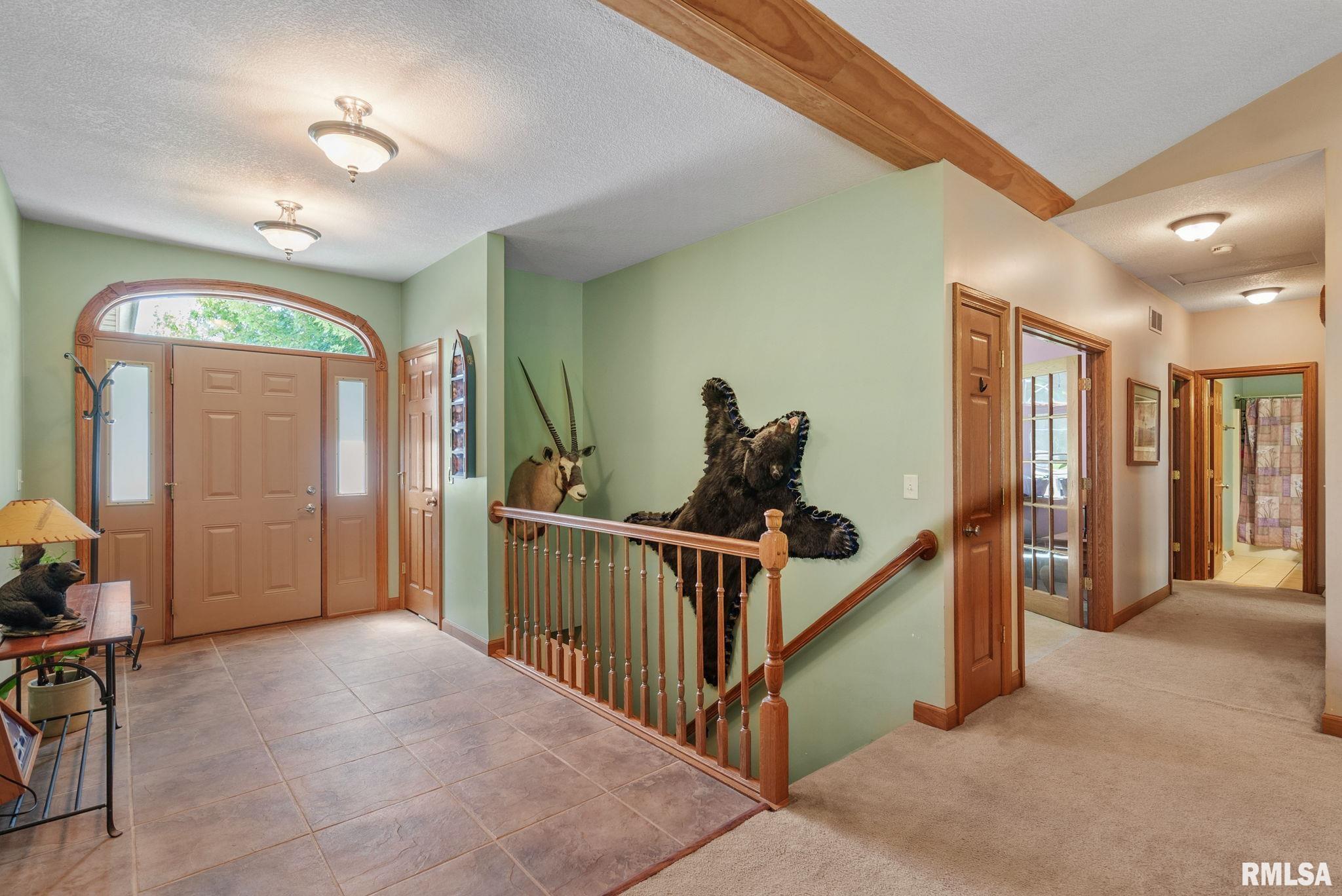 115 Woodland Drive, Andalusia, Illinois image 4