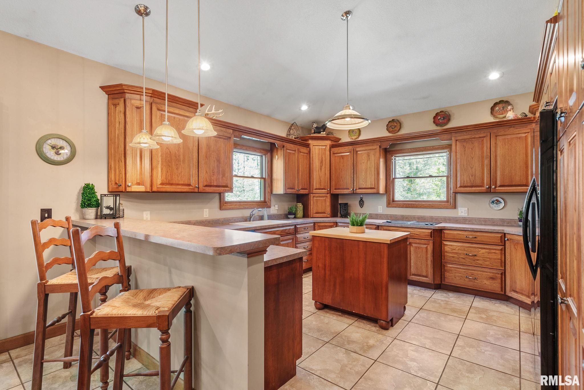 115 Woodland Drive, Andalusia, Illinois image 9